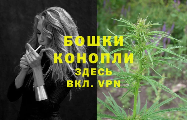 винт Алексин
