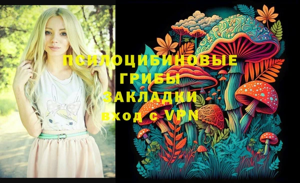винт Алексин