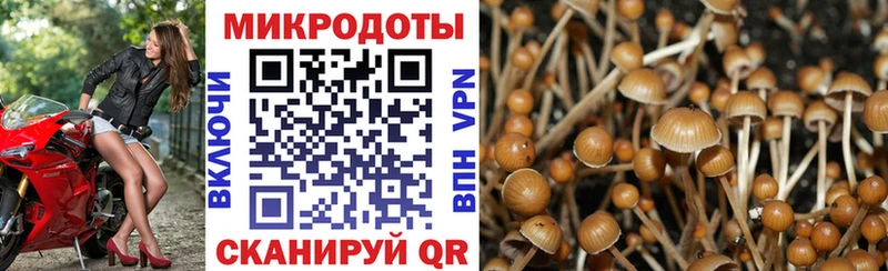 Галлюциногенные грибы MAGIC MUSHROOMS  Павлово 